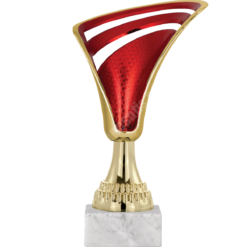 21 cm