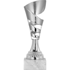 21 cm
