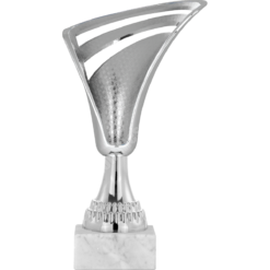 21 cm