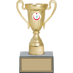 22 cm
