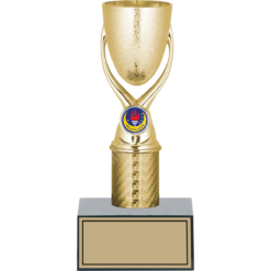 23 cm