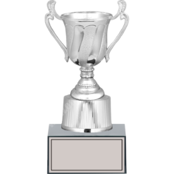24 cm