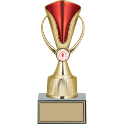 26 cm