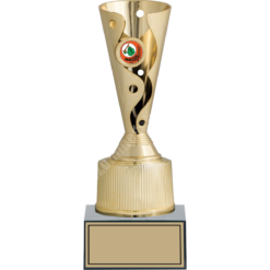 27 cm