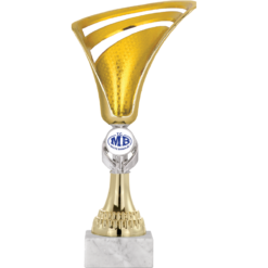 27 cm