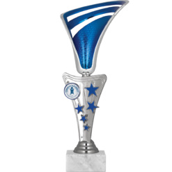 28 cm