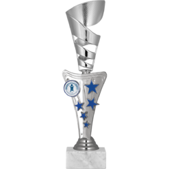 25 cm