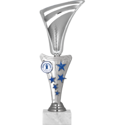 28 cm