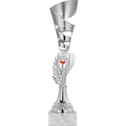 30 cm