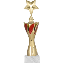 31 cm
