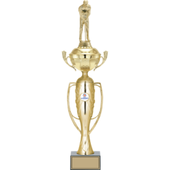 55 cm