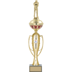 55 cm