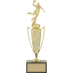 36 cm