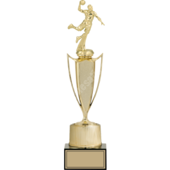 41 cm