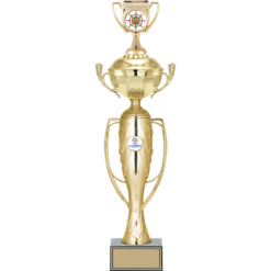 55 cm