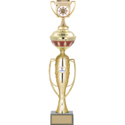 55 cm