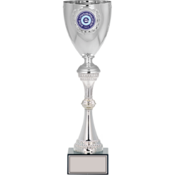 41 cm