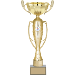38 cm