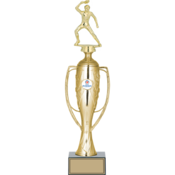 43 cm