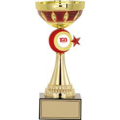 27 cm