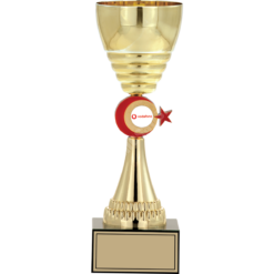 27 cm