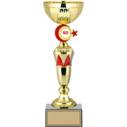 31 cm