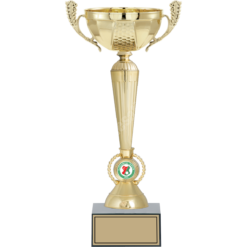 37 cm