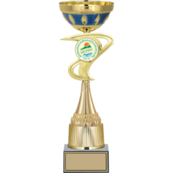 38 cm