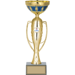 38 cm