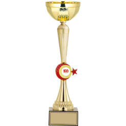 43 cm