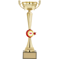 43 cm