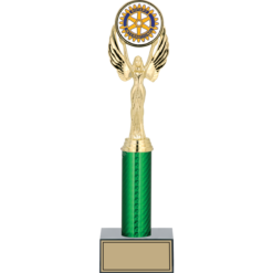 25 cm