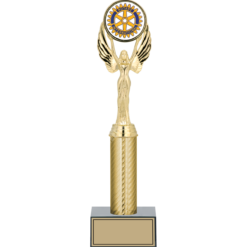 25 cm