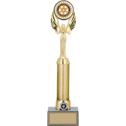 29 cm