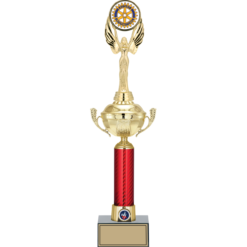 50 cm