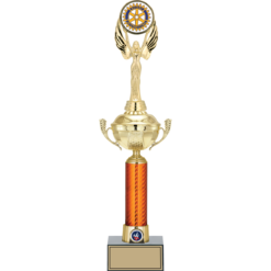 50 cm