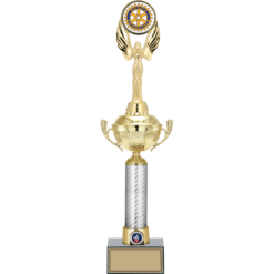 50 cm