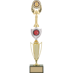 43 cm