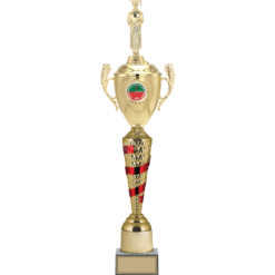 66 cm