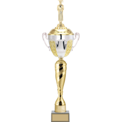 55 cm
