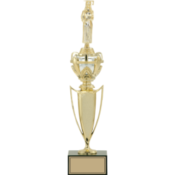 43 cm