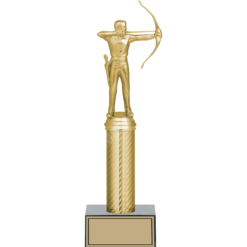 31 cm
