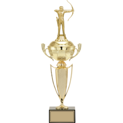 46 cm