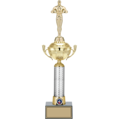 43 cm