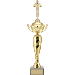 55 cm
