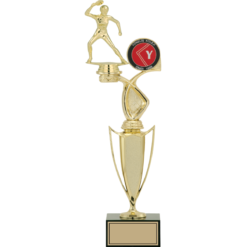 43 cm