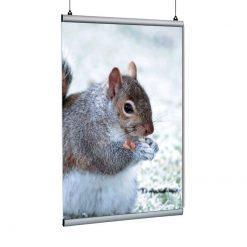 Poster Tutucu Clamp 100cm