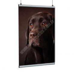 Poster Tutucu Clamp 21cm