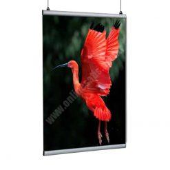 Poster Tutucu Clamp 42cm