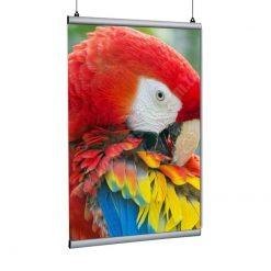 Classic Shop 35 Poster Tutucu Clamp 70cm